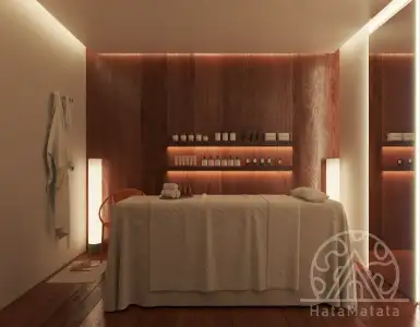 Buy in Indonesia for 113500$