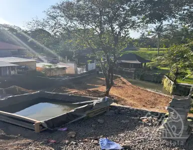 Rent in Indonesia for 100736$