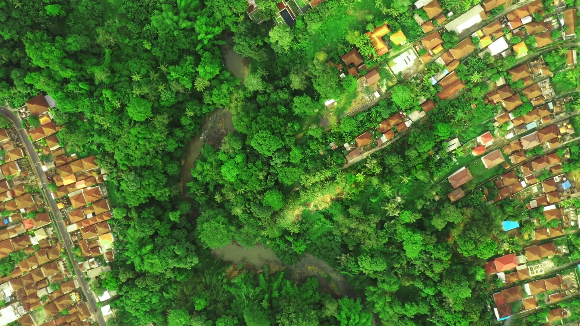 Land 0m² in Indonesia, Tabanan. Priced at 116000$ rent photo-1