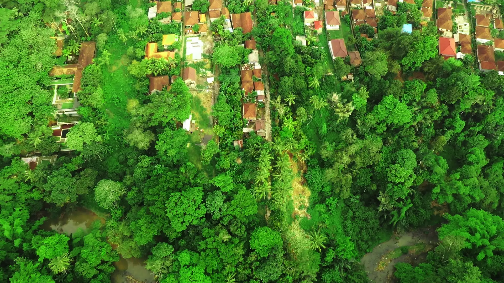 Land 0m² in Indonesia, Tabanan. Priced at 116000$ rent photo-2
