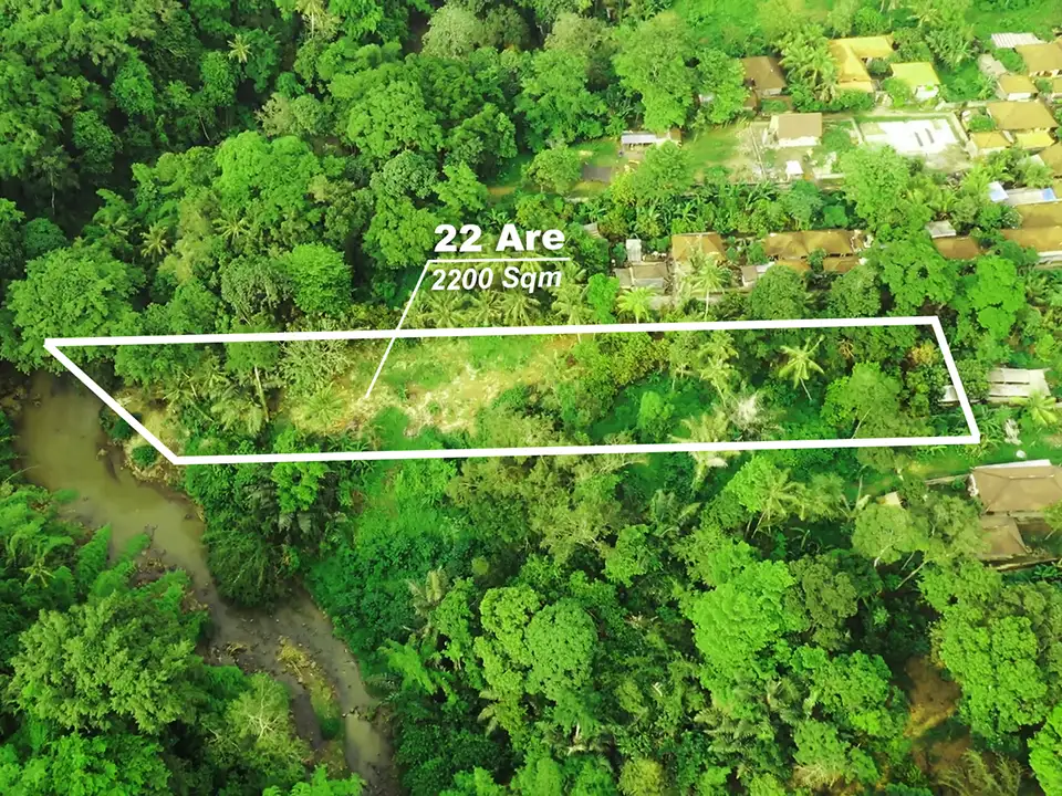 Land 0m² in Indonesia, Tabanan. Priced at 556000$ rent photo-2