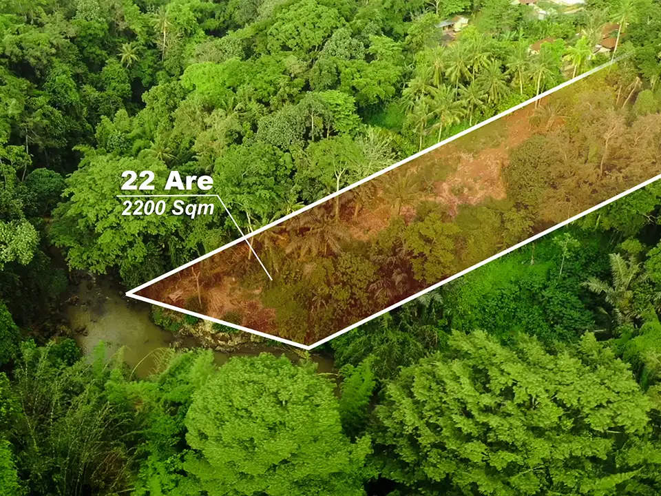 Land 0m² in Indonesia, Tabanan. Priced at 556000$ rent photo-3