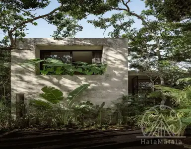 Buy in Indonesia for 400000$