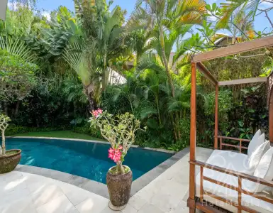 Buy in Indonesia for 230000$
