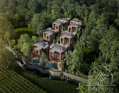 Buy in Indonesia for 260000$