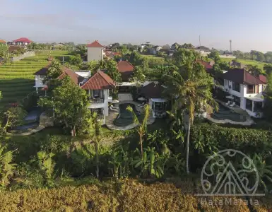 Buy in Indonesia for 500000$