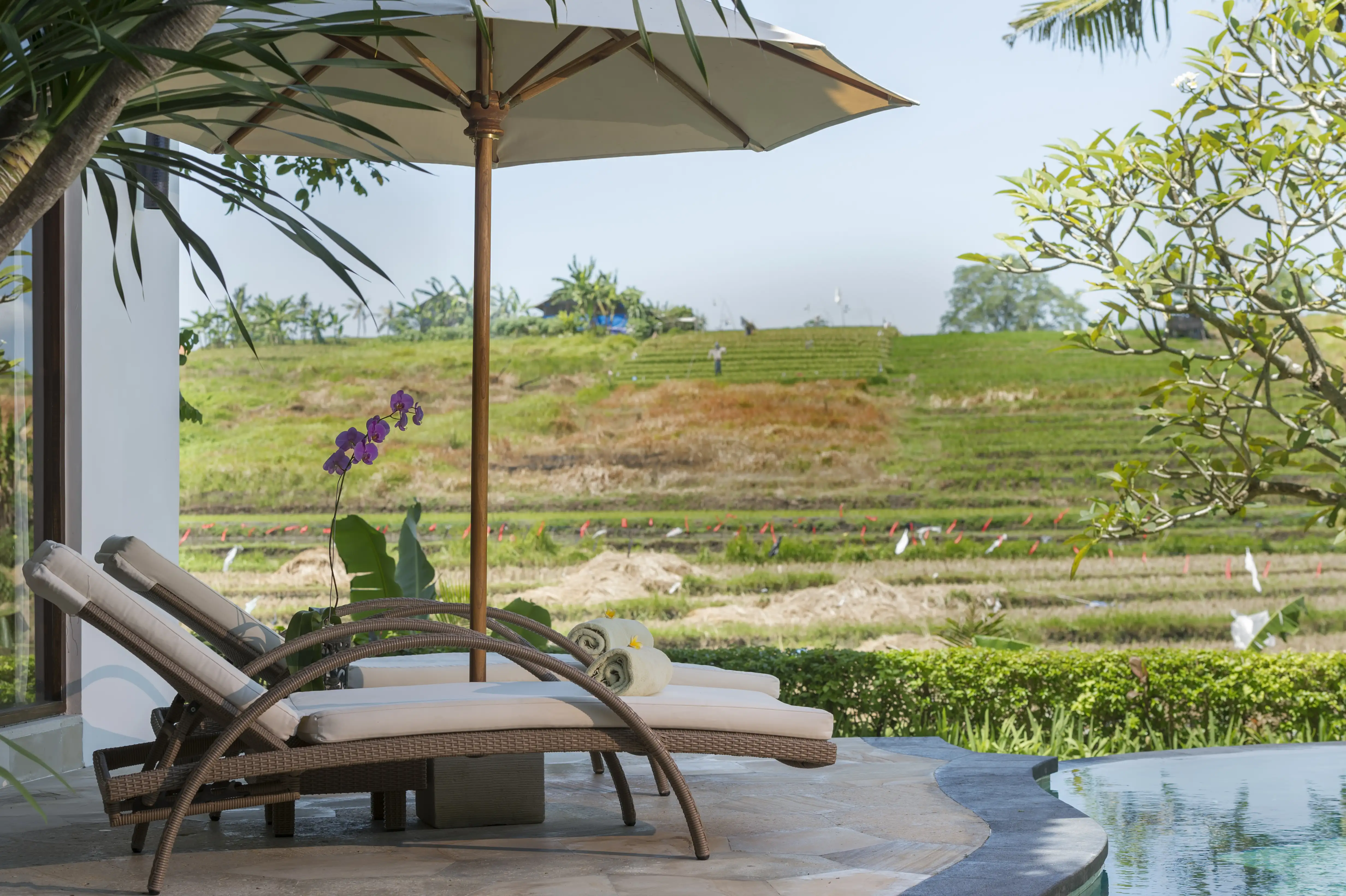 Villa 300m² in Indonesia, Canggu. Priced at 360000$ rent photo-12