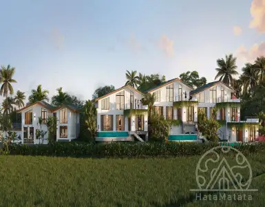 Buy in Indonesia for 205000$