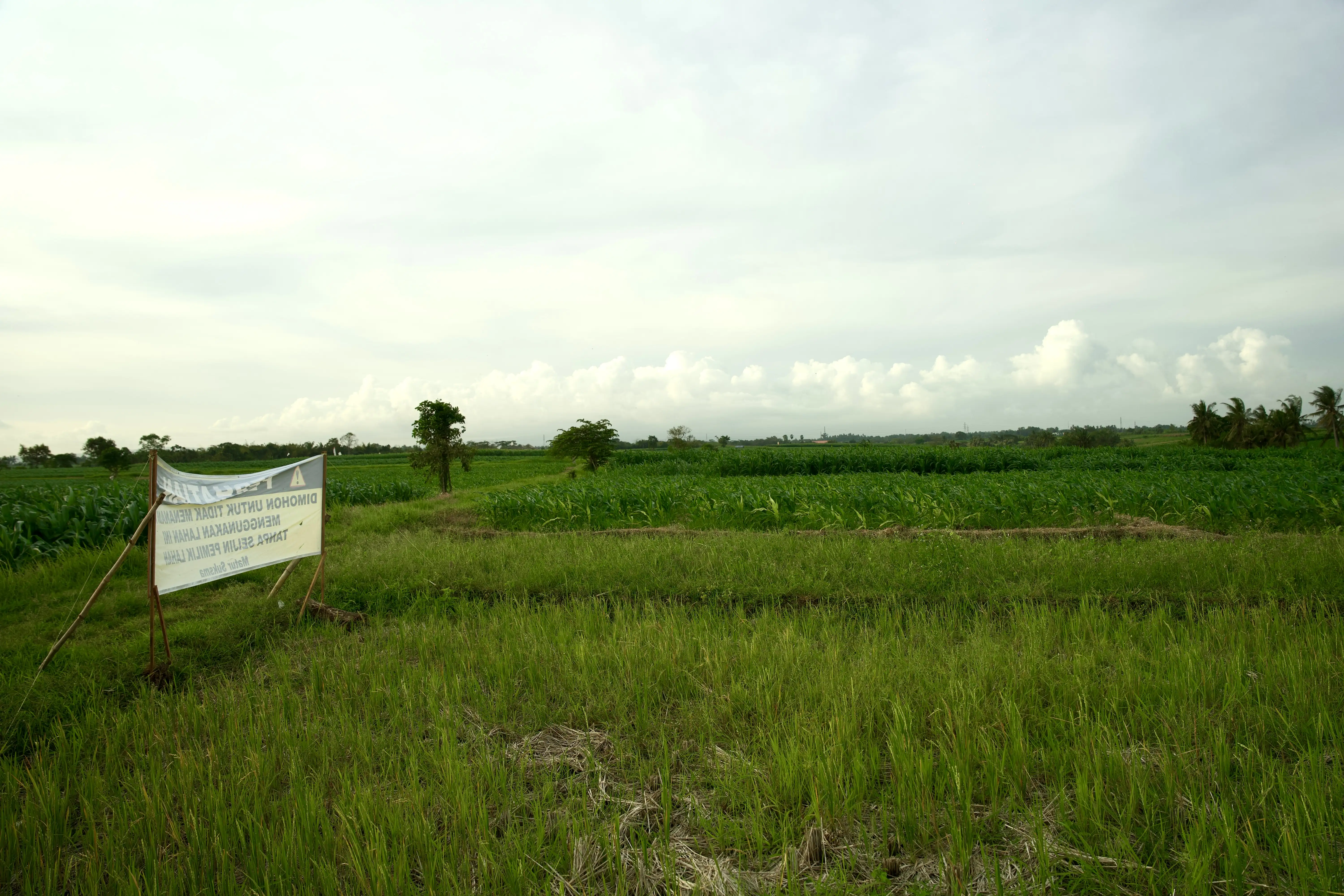 Land 0m² in Indonesia, Tabanan. Priced at 176673$ rent photo-1