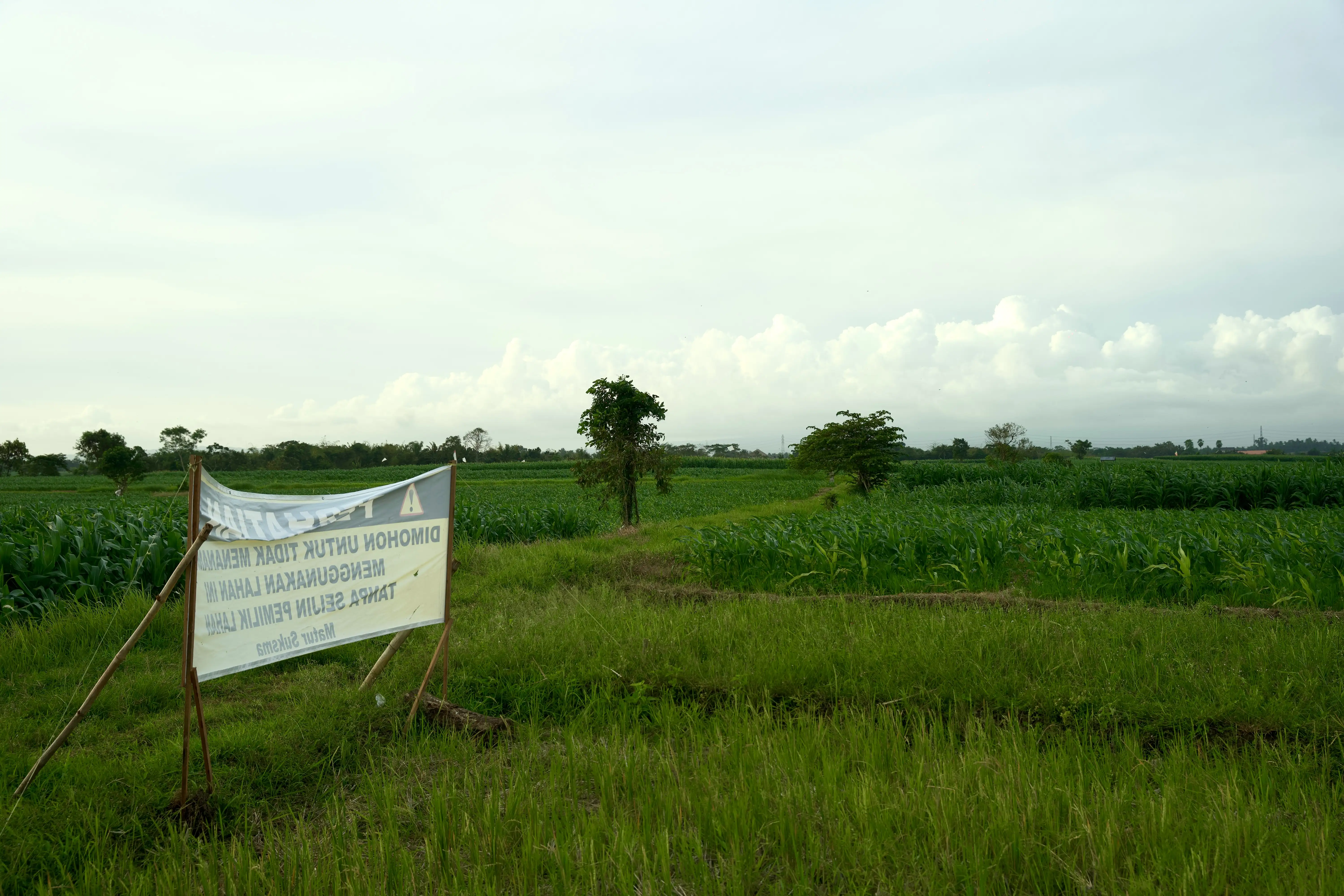 Land 0m² in Indonesia, Tabanan. Priced at 176673$ rent photo-2