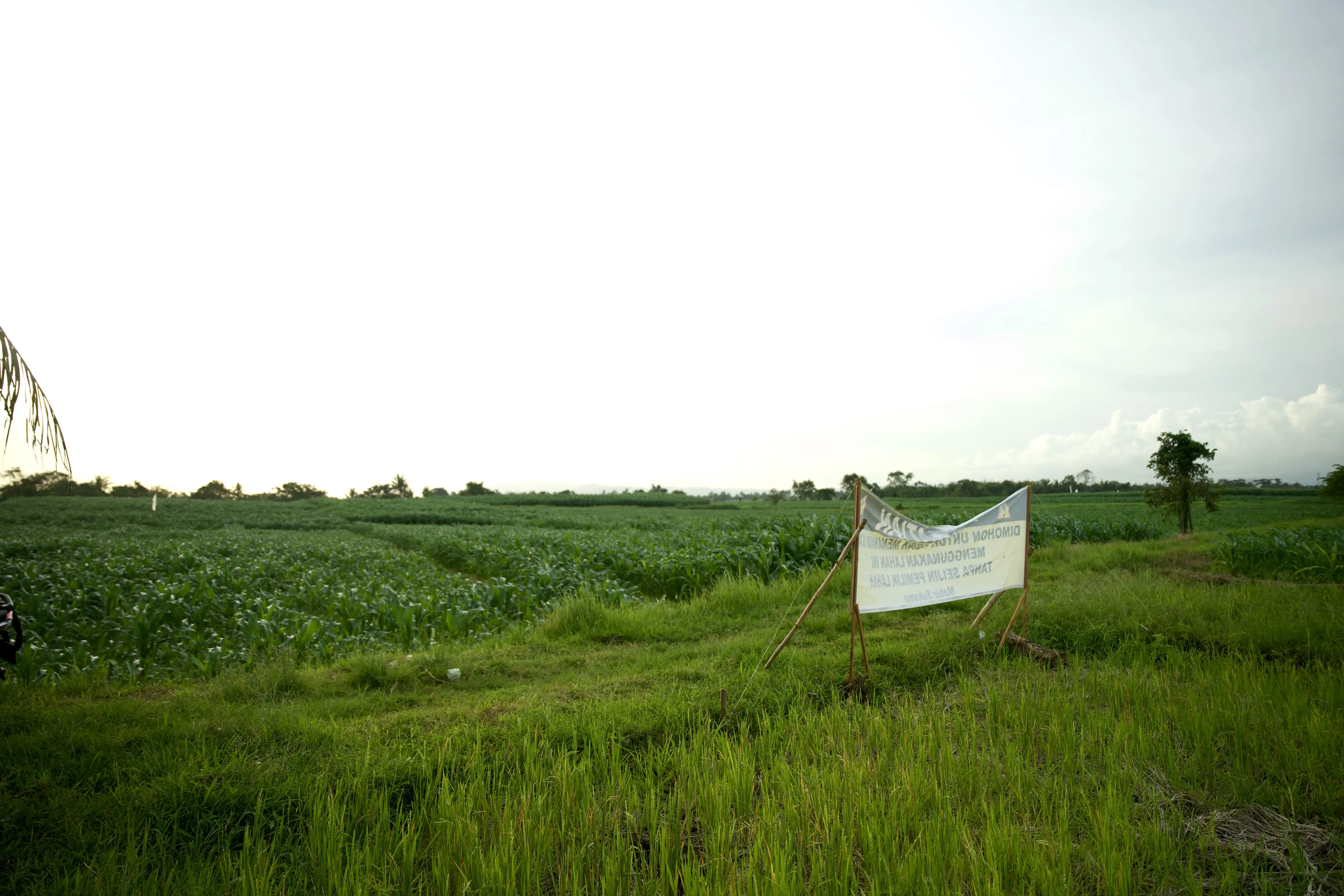 Land 0m² in Indonesia, Tabanan. Priced at 176673$ rent photo-3