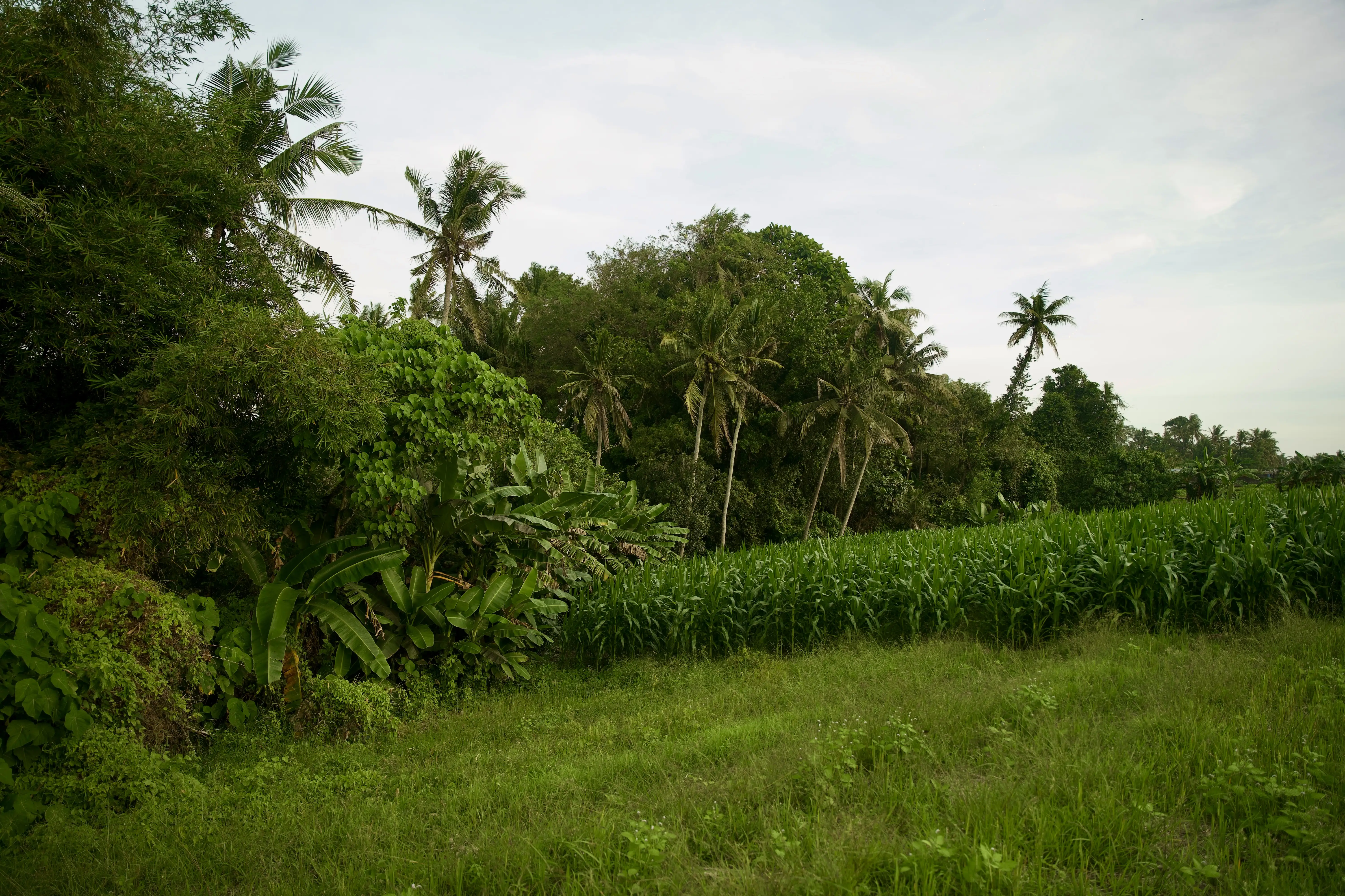 Land 0m² in Indonesia, Tabanan. Priced at 176673$ rent photo-11