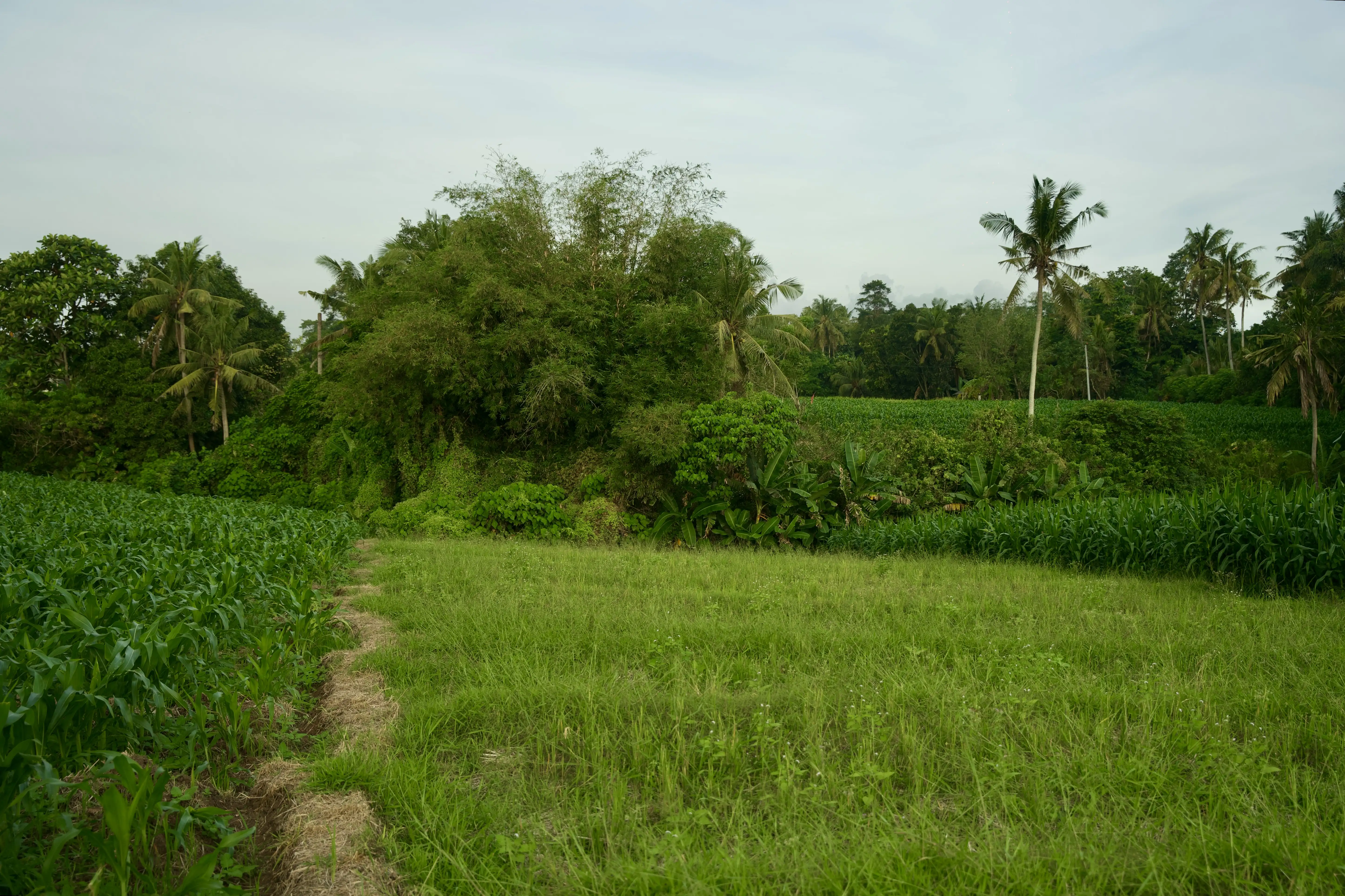 Land 0m² in Indonesia, Tabanan. Priced at 176673$ rent photo-15