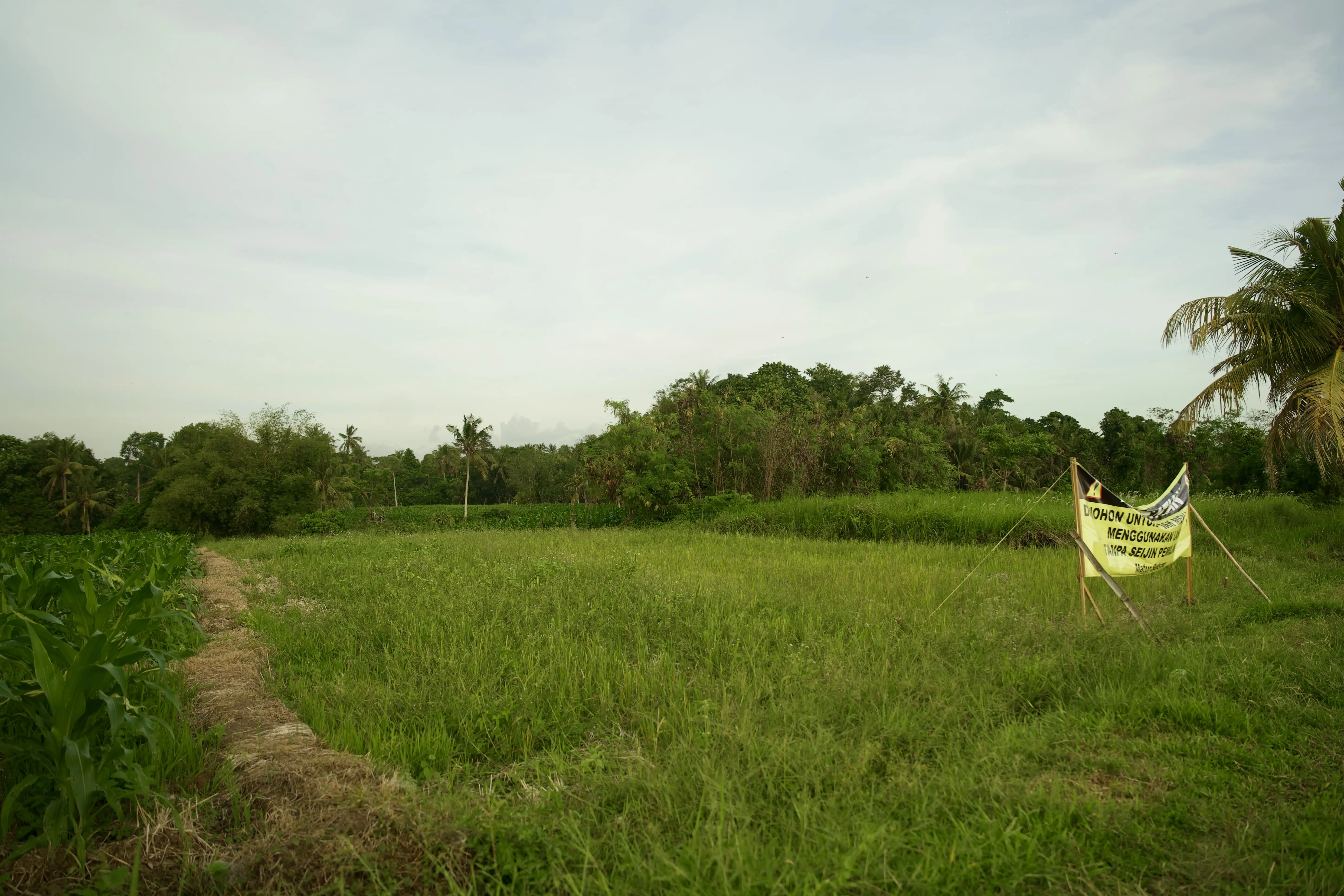 Land 0m² in Indonesia, Tabanan. Priced at 176673$ rent photo-16