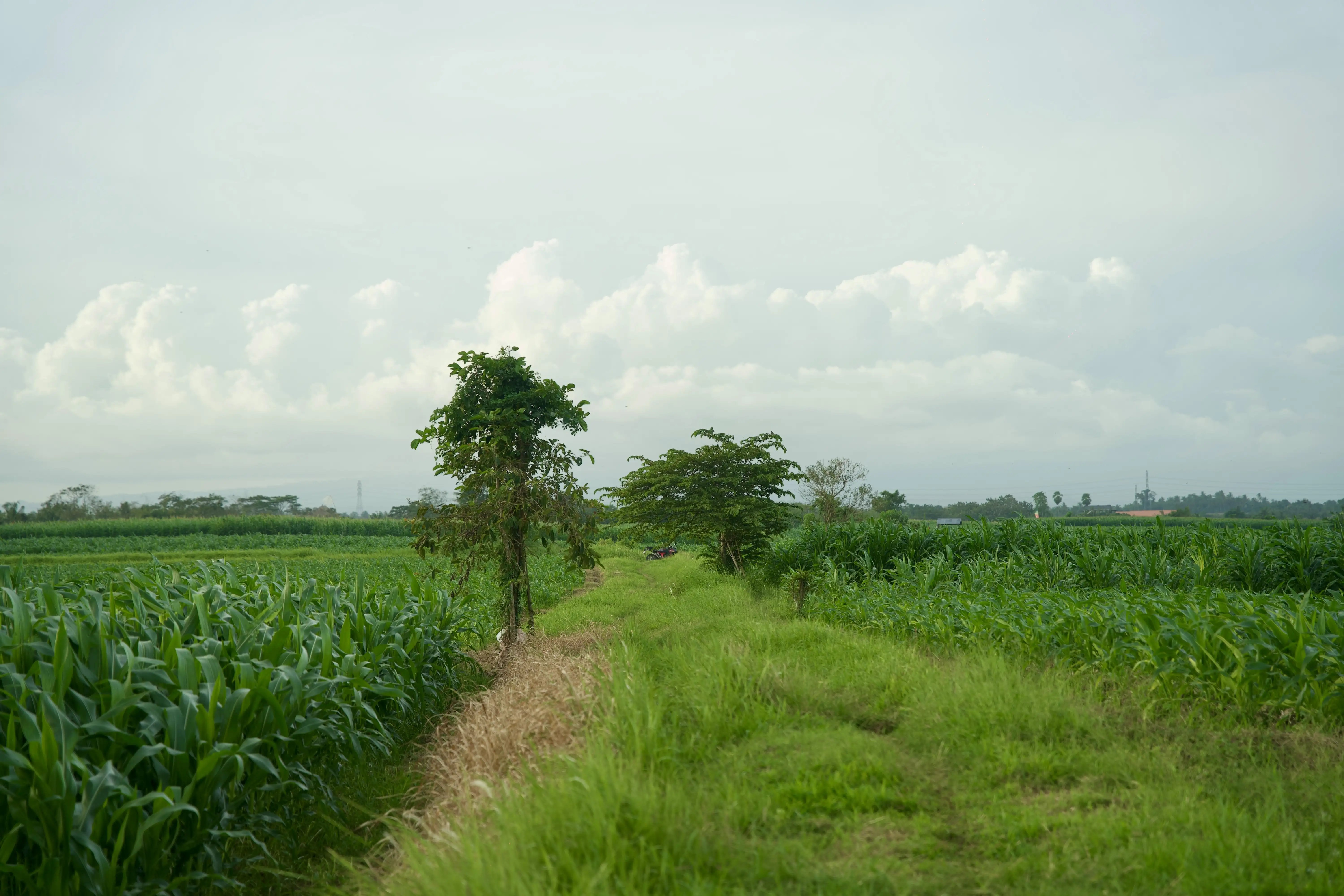 Land 0m² in Indonesia, Tabanan. Priced at 176673$ rent photo-18