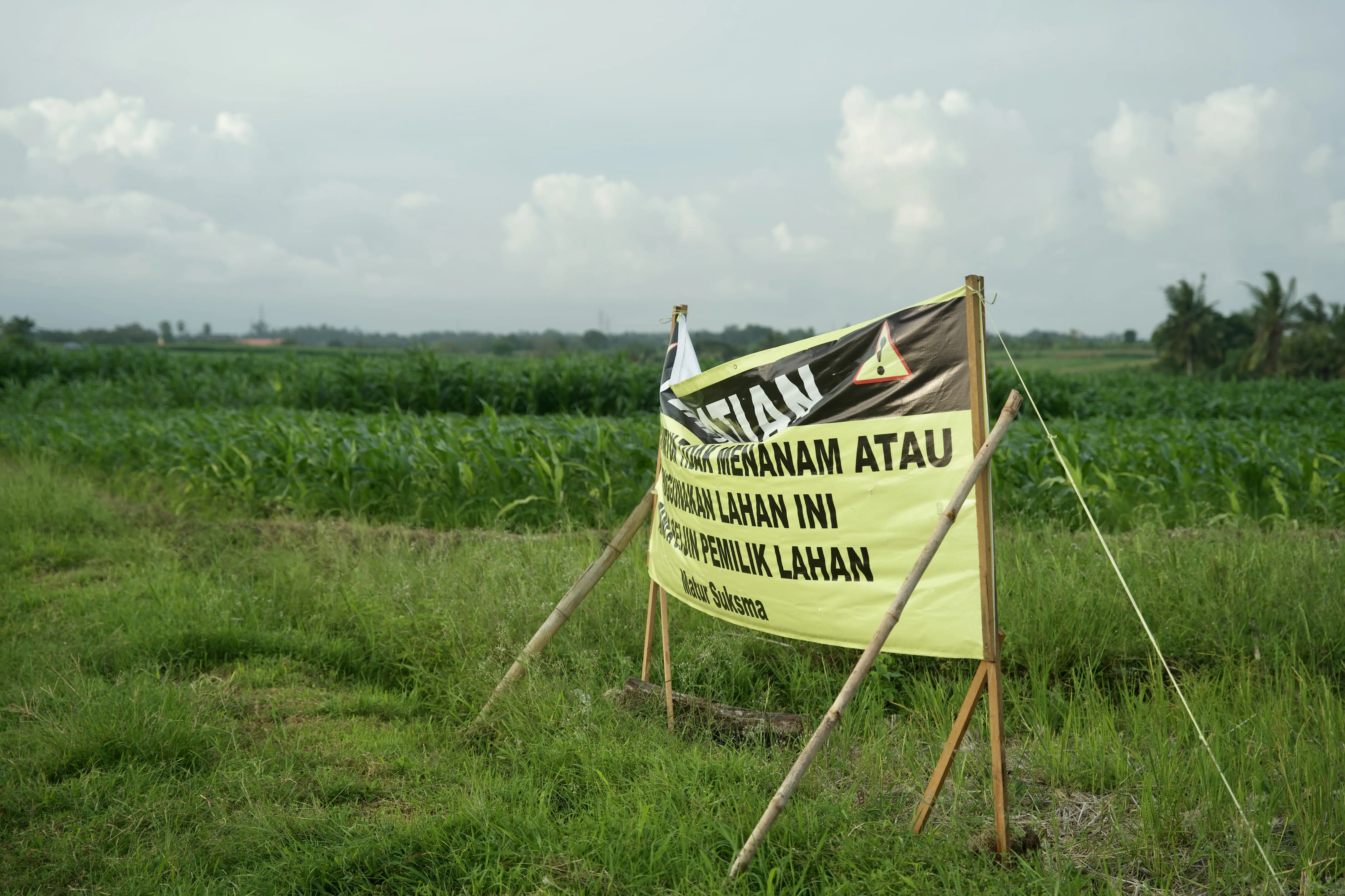 Land 0m² in Indonesia, Tabanan. Priced at 176673$ rent photo-19