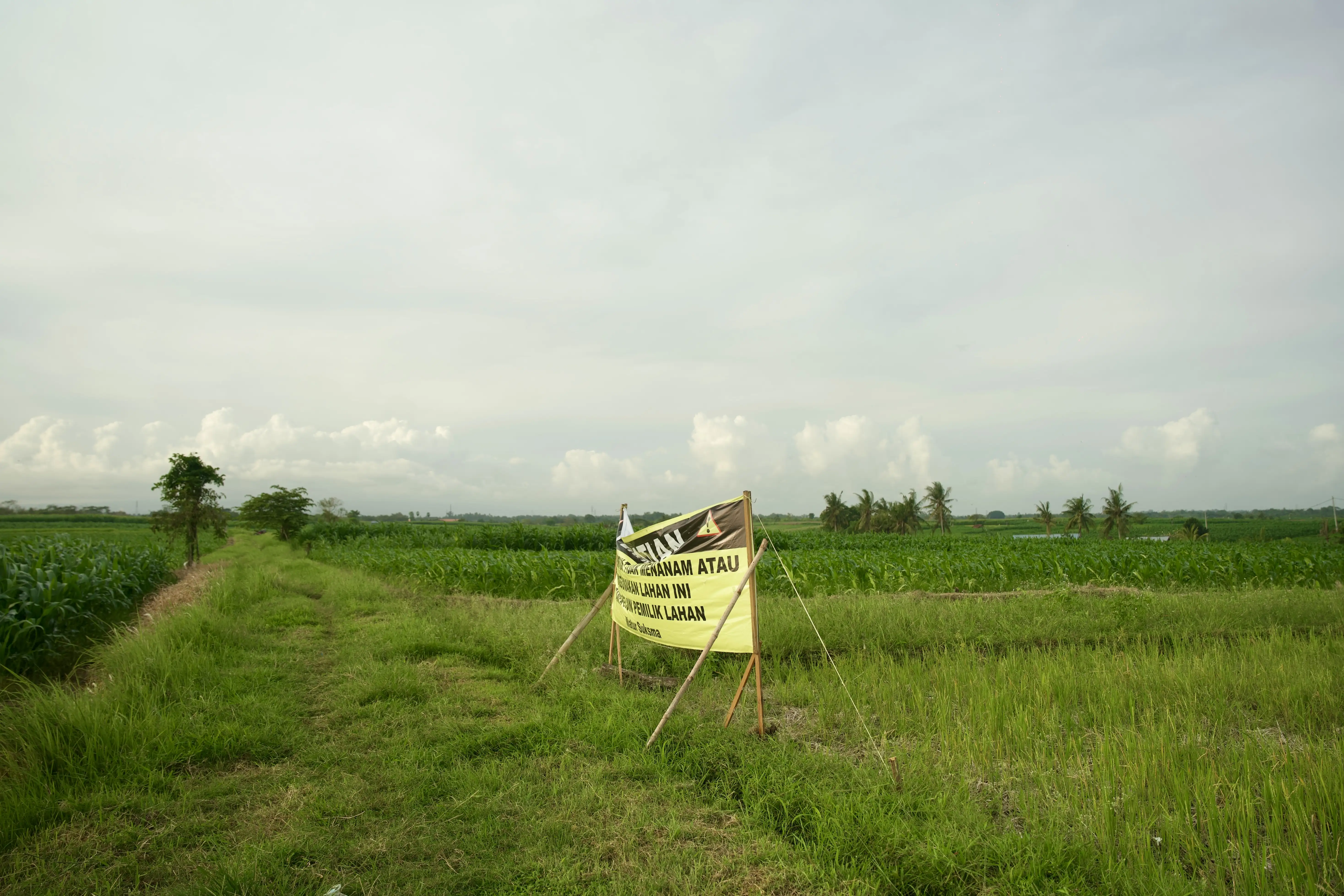 Land 0m² in Indonesia, Tabanan. Priced at 176673$ rent photo-20