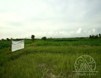 Buy in Indonesia for 176673$
