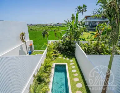 Buy in Indonesia for 180000$