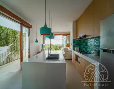 Buy in Indonesia for 233775$