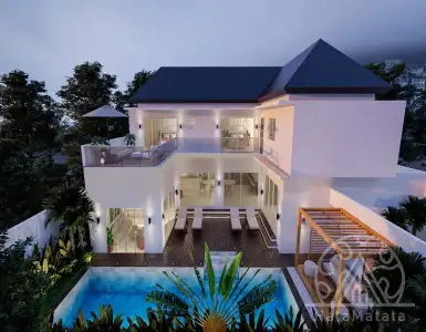 Buy in Indonesia for 550000$