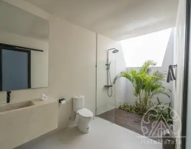 Buy in Indonesia for 465000$