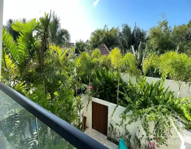 Buy in Indonesia for 300000$