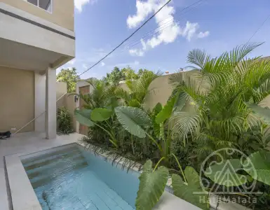 Buy in Indonesia for 200000$