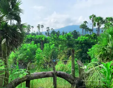 Rent in Indonesia for 1100000$