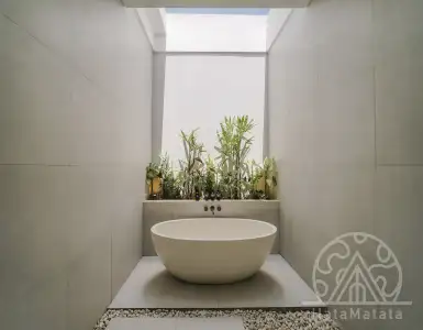 Buy in Indonesia for 890000$