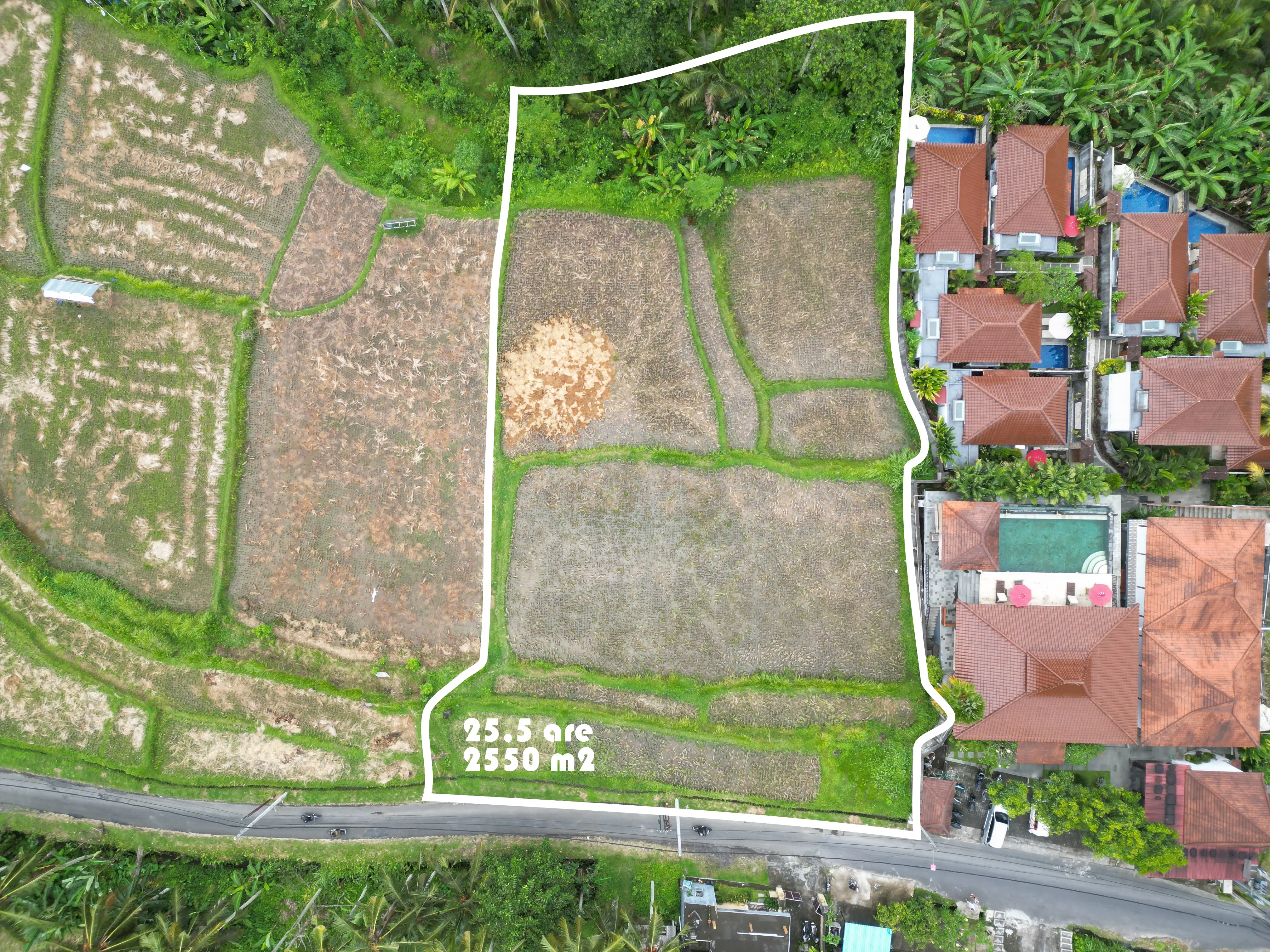 Land 0m² in Indonesia, Ubud. Priced at 494368$ rent photo-5