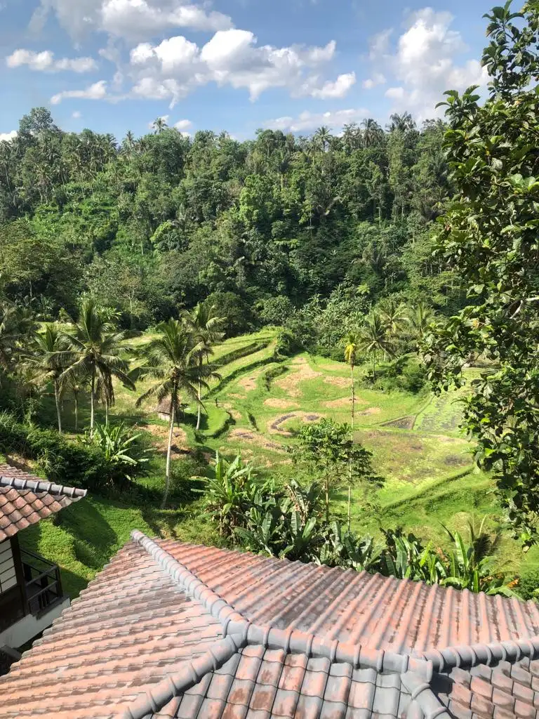 Other Properties 2500m² in Indonesia, Ubud. Priced at 2500000$ rent photo-1