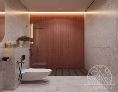 Buy in Indonesia for 155000$
