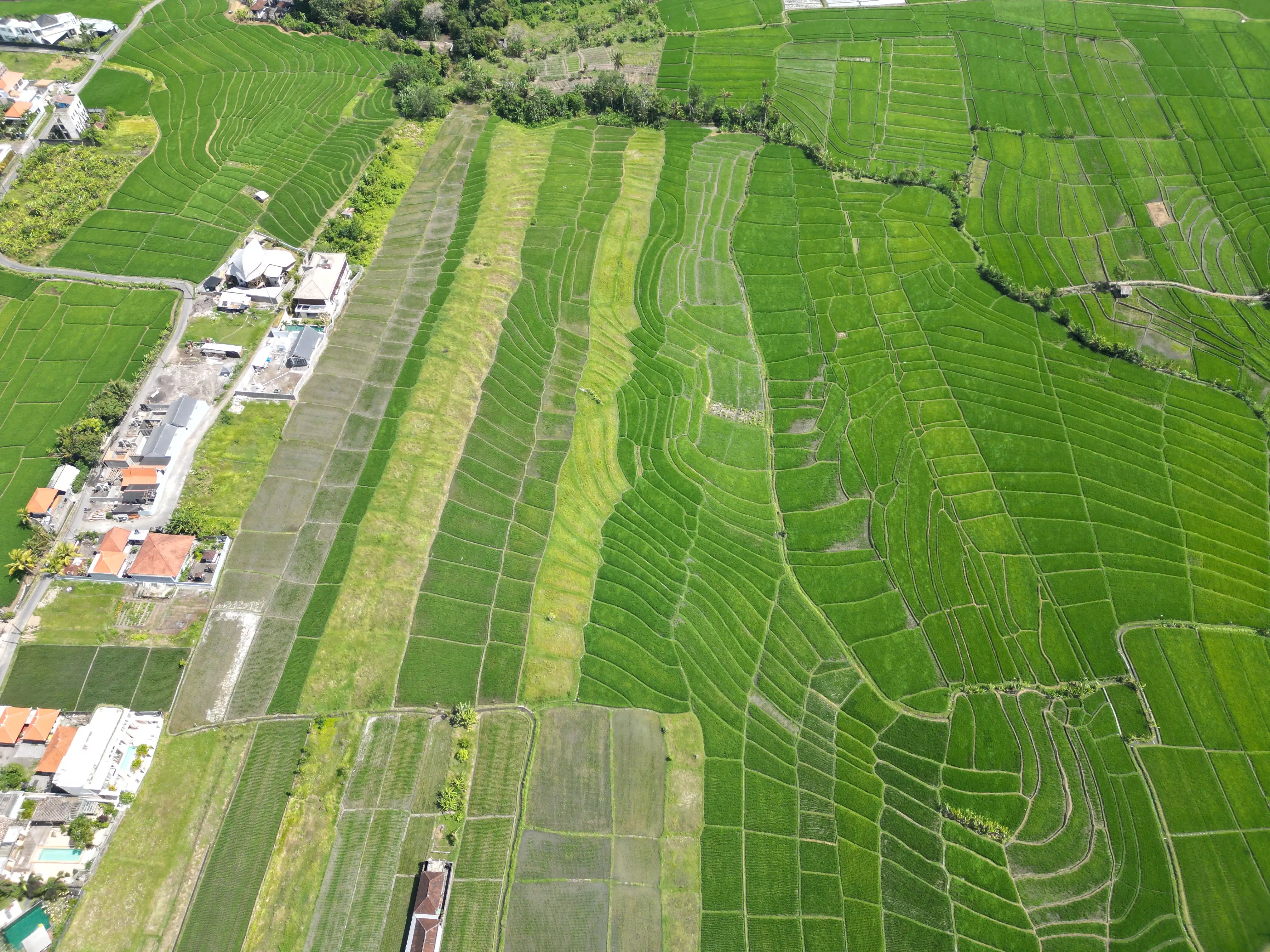Land 0m² in Indonesia, Canggu. Priced at 1987941$ rent photo-8