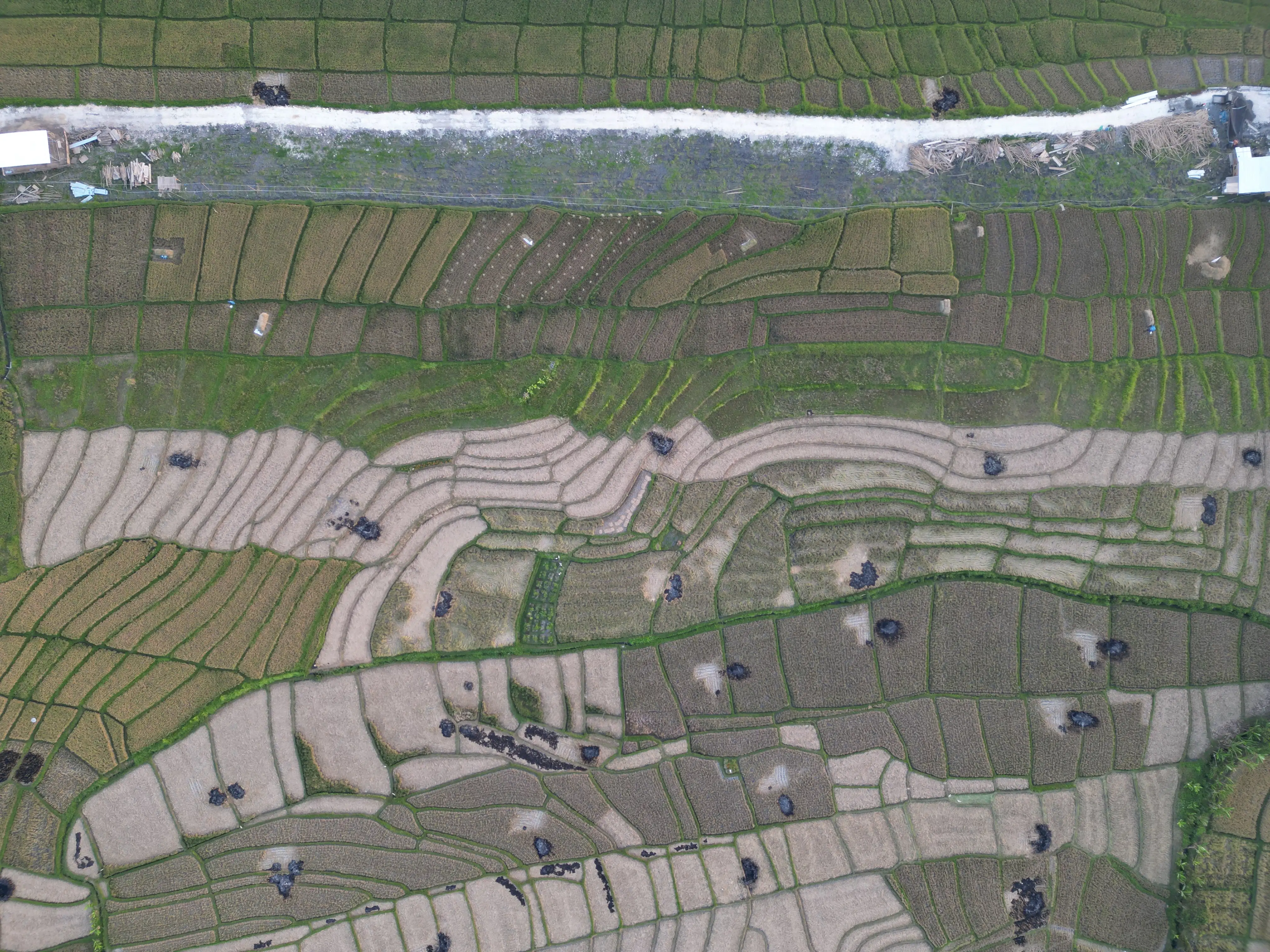Land 0m² in Indonesia, Canggu. Priced at 1987941$ rent photo-9