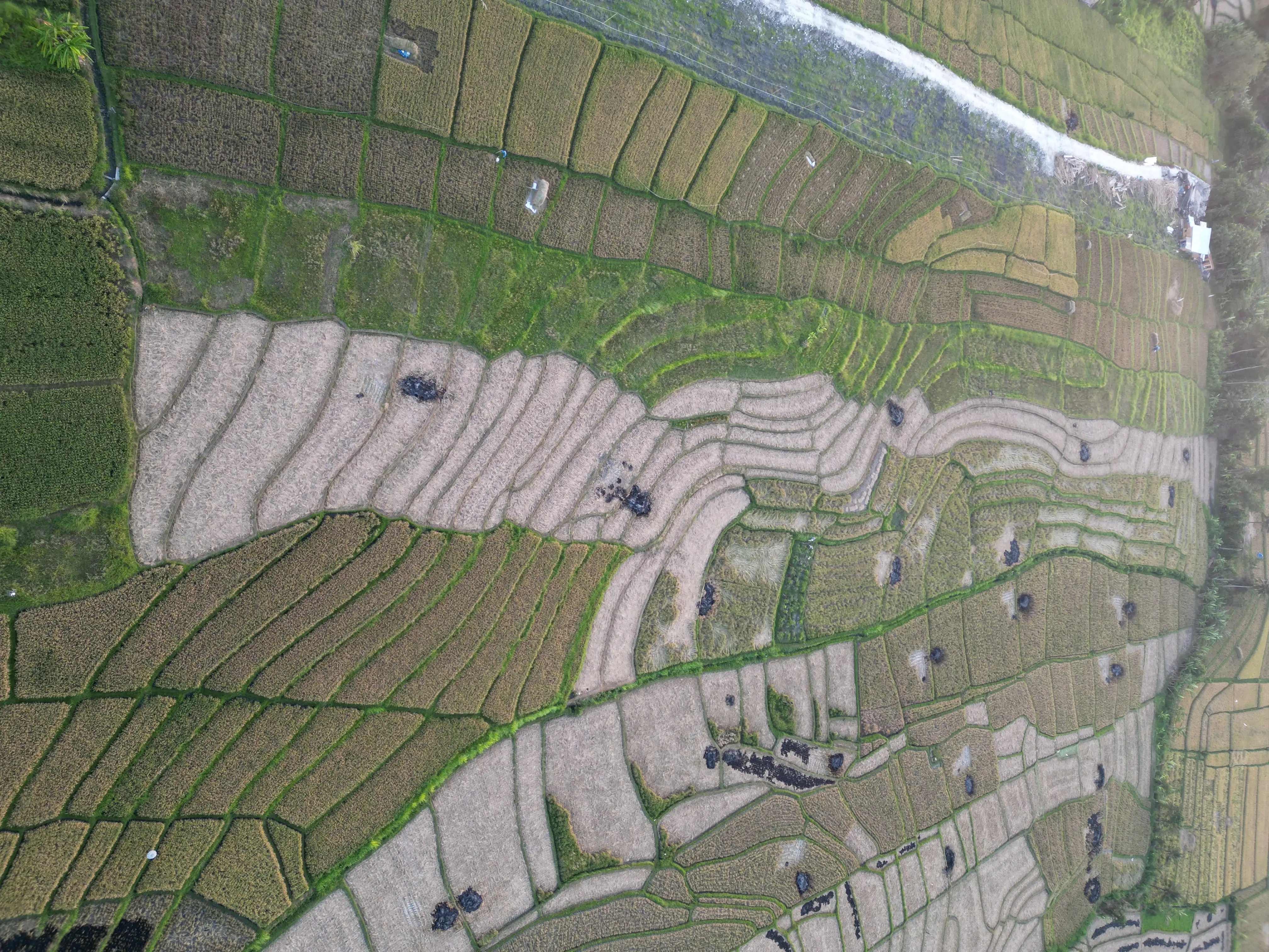Land 0m² in Indonesia, Canggu. Priced at 1987941$ rent photo-11