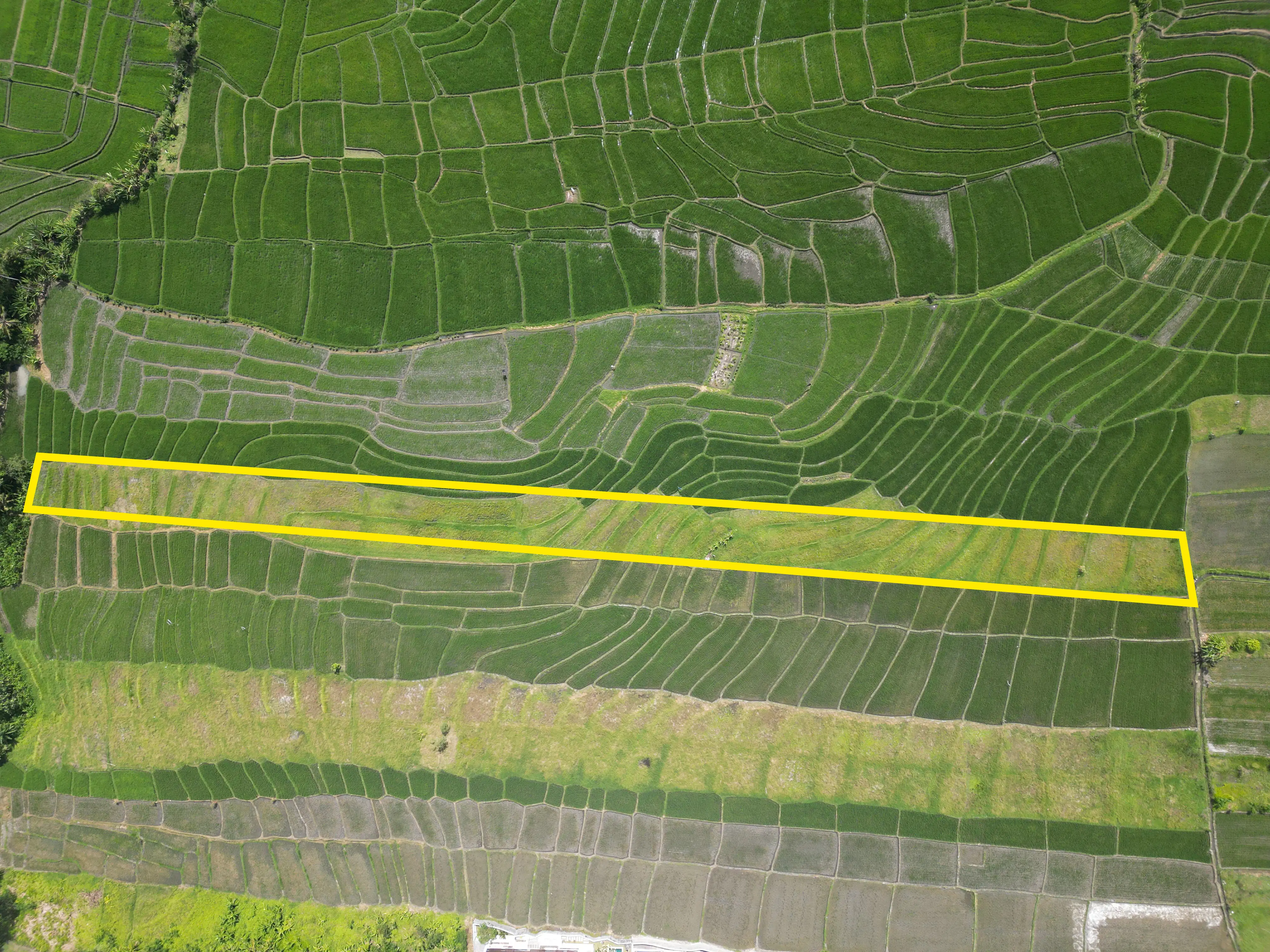Land 0m² in Indonesia, Canggu. Priced at 1987941$ rent photo-12