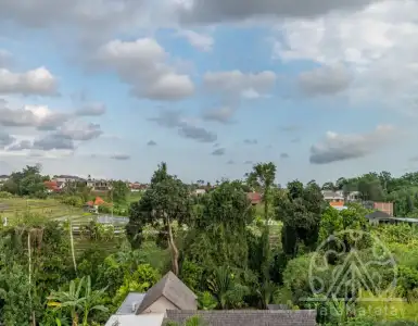 Buy in Indonesia for 649000$