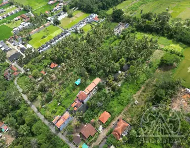 Buy in Indonesia for 334425$