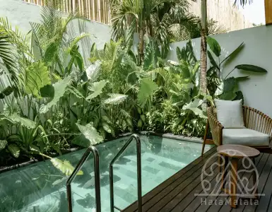 Buy in Indonesia for 225000$