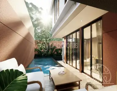 Buy in Indonesia for 225000$