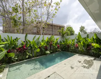 Buy in Indonesia for 215000$