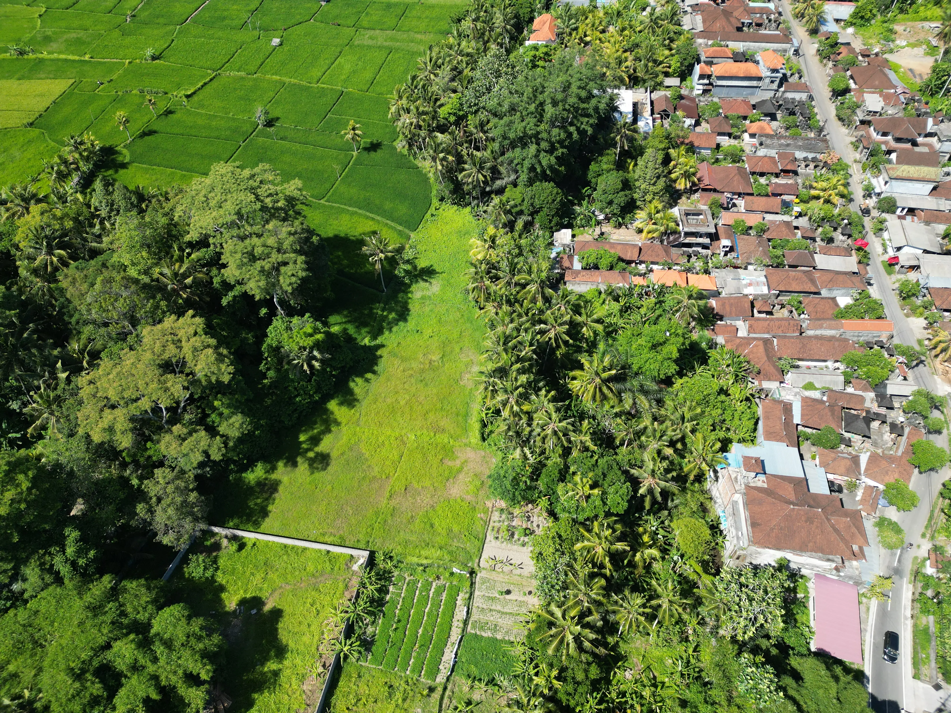 Land 0m² in Indonesia, Ubud. Priced at 249510$ rent photo-1