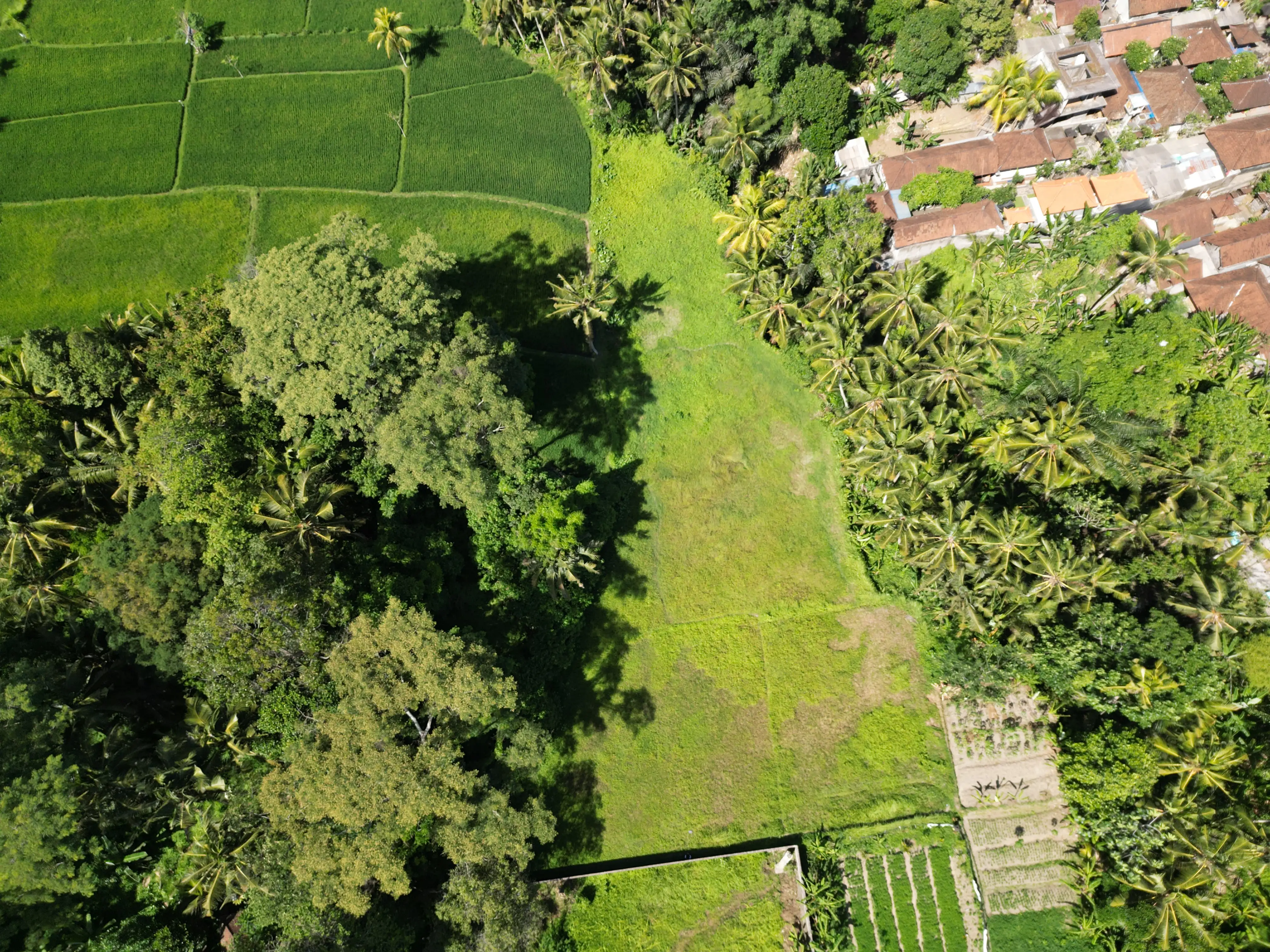 Land 0m² in Indonesia, Ubud. Priced at 249510$ rent photo-2