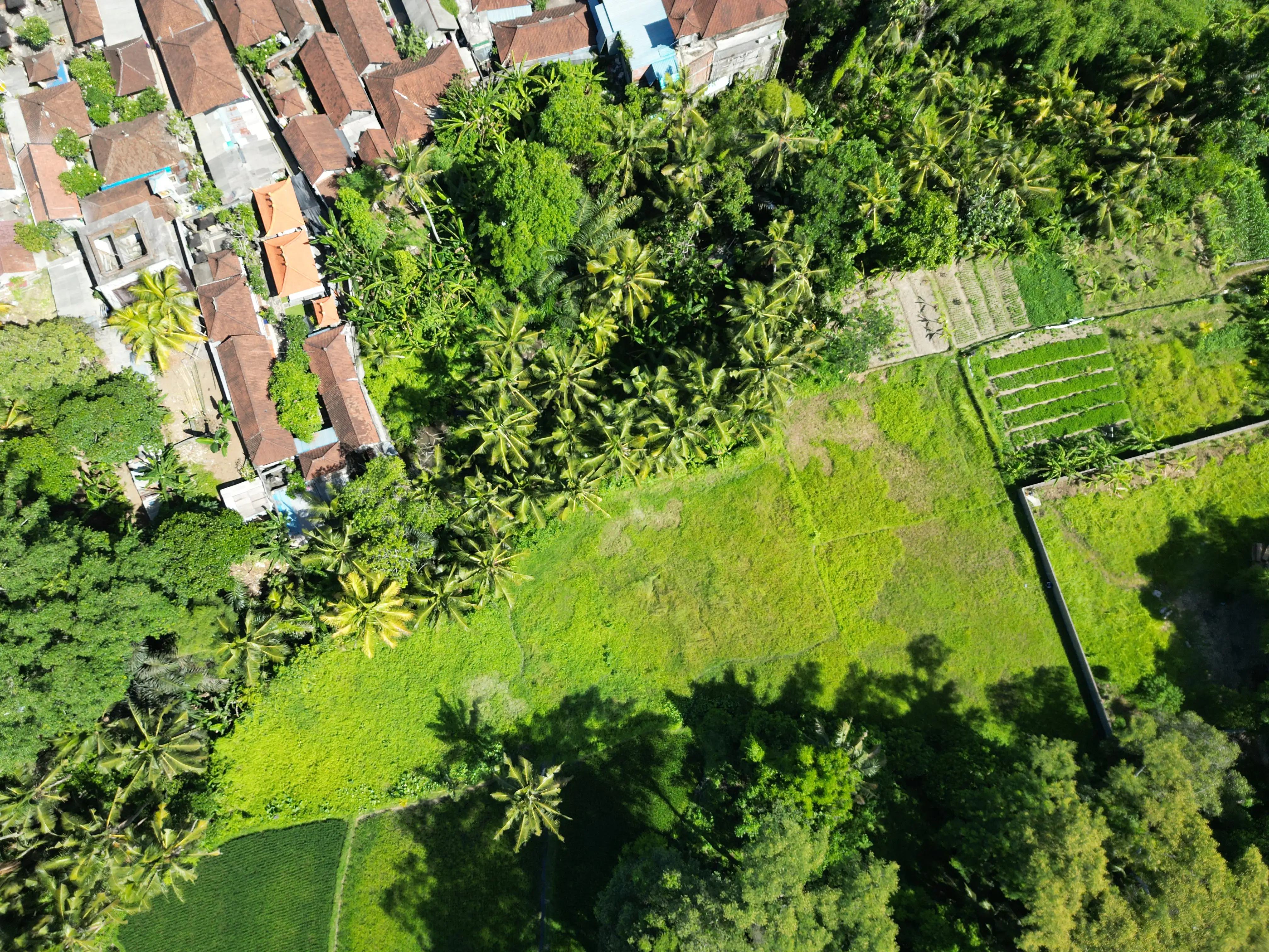 Land 0m² in Indonesia, Ubud. Priced at 249510$ rent photo-3