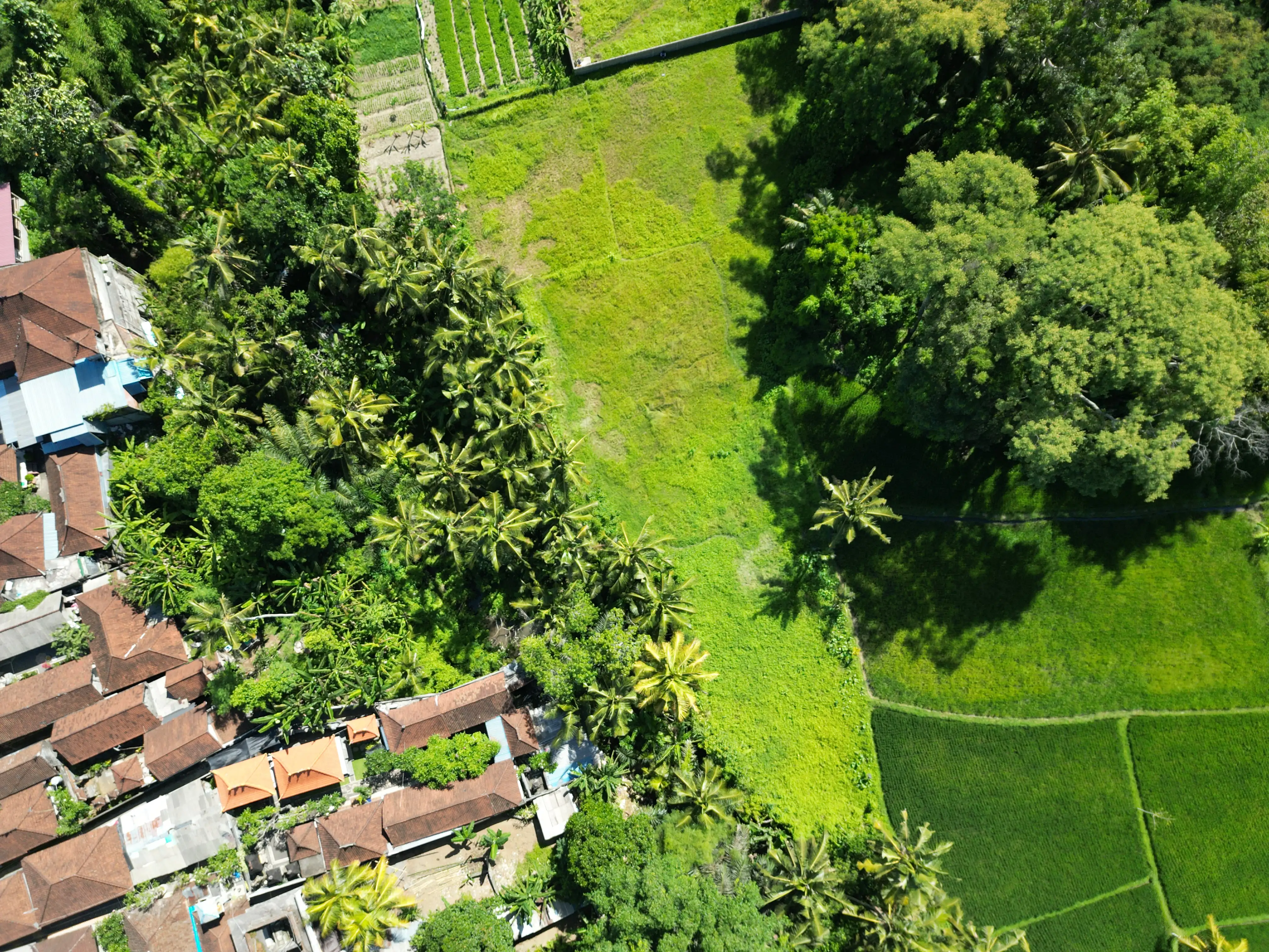 Land 0m² in Indonesia, Ubud. Priced at 249510$ rent photo-4
