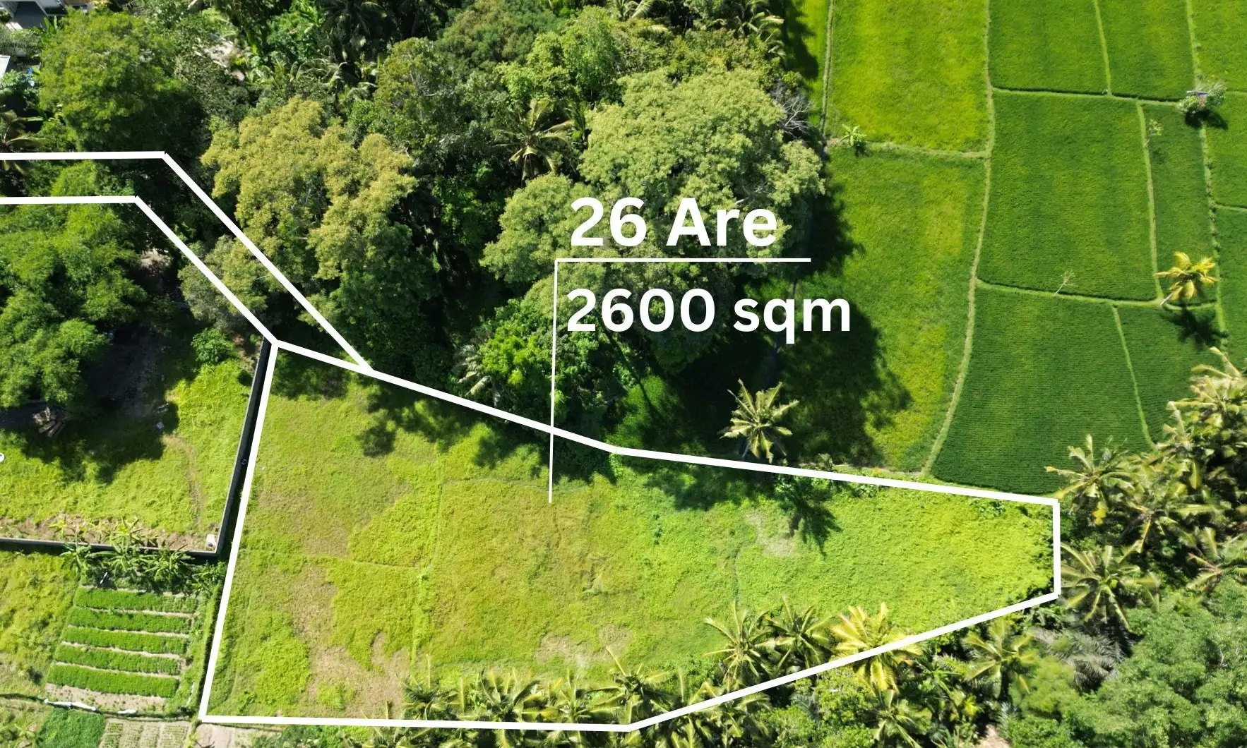 Land 0m² in Indonesia, Ubud. Priced at 249510$ rent photo-8