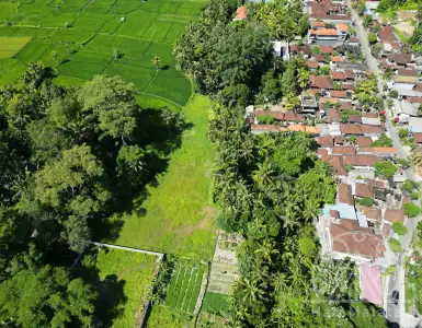 Buy in Indonesia for 249510$