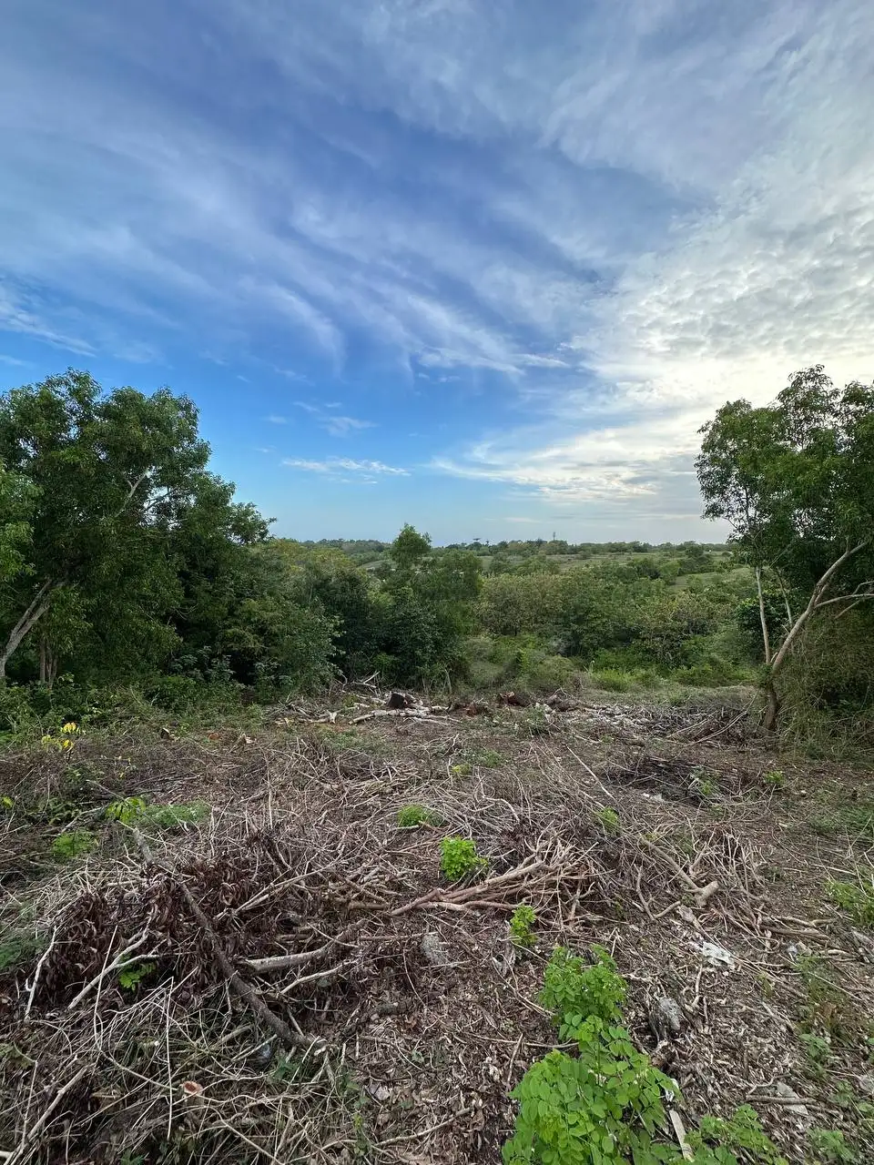 Land 0m² in Indonesia, Bukit. Priced at 355428$ rent photo-4