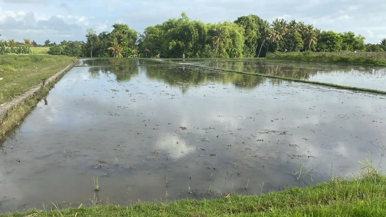 Land 0m² in Indonesia, Kedungu. Priced at 373199$ rent photo-1